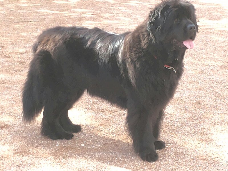 Фотография № 164568