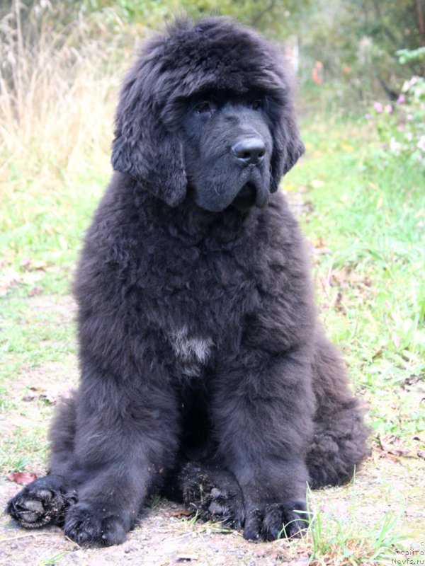 Фотография № 164573