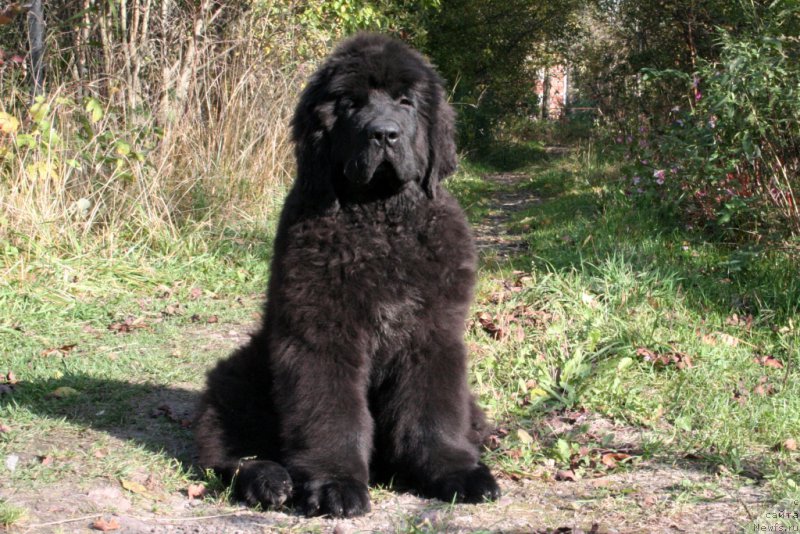 Фотография № 164574