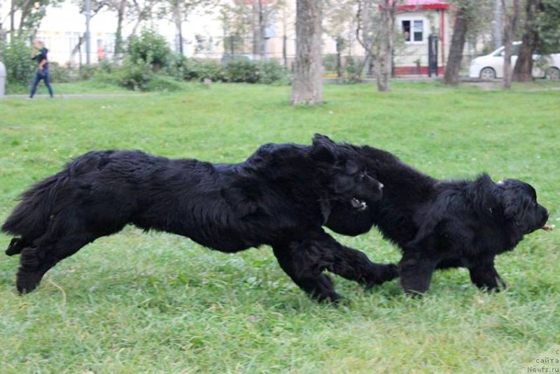 Фотография № 164583