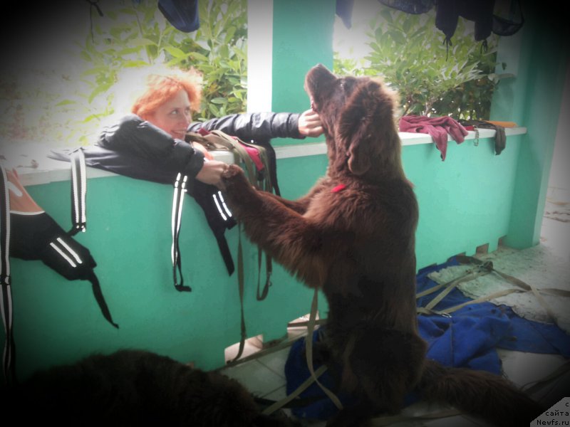 Фотография № 164625