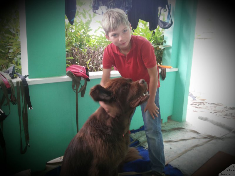 Фотография № 164663