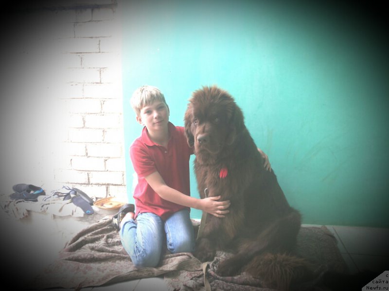 Фото: Ваня Семиков и, ньюфаундленд Fann'yuf Jelannaya Madmuazel' SHante Blyuz (Фанньюф Желанная Мадмуазель Шанте Блюз)