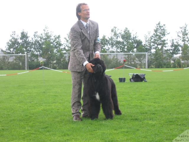 Фотография № 16467