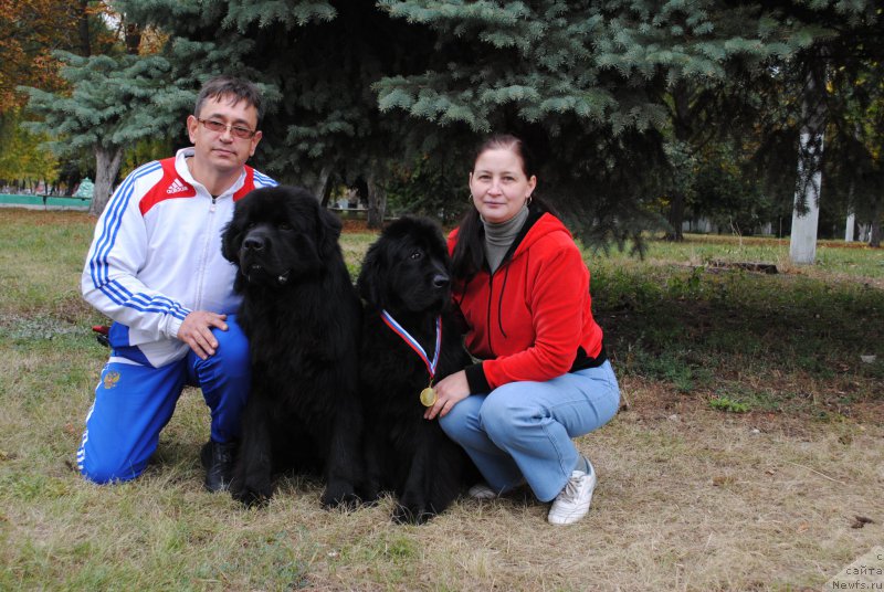 Фотография № 164673