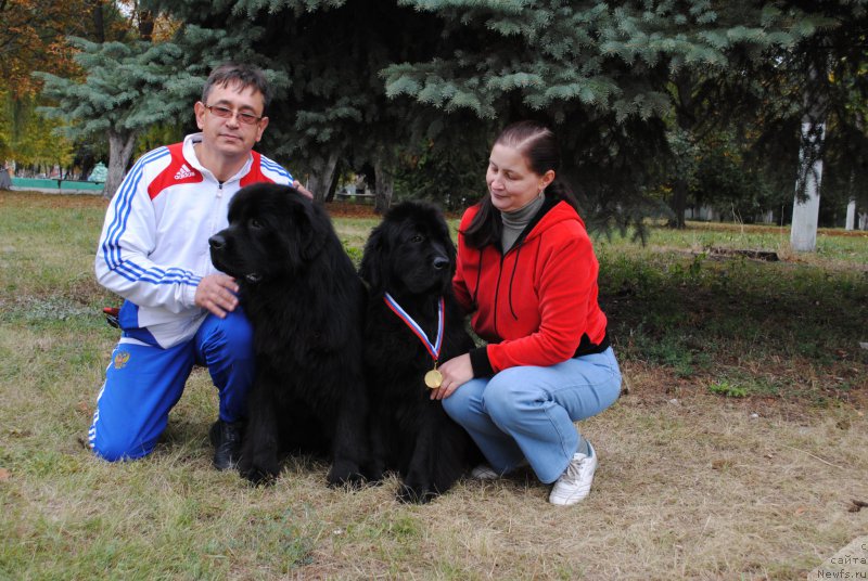 Фото: Роман, ньюфаундленд Jguchiy Bryunet (Жгучий Брюнет), ньюфаундленд Slavjanka s Berega Dona (Славянка с Берега Дона), Elena Bobneva (Елена Бобнева)
