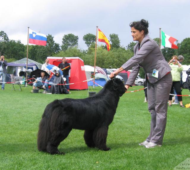 Фотография № 16468