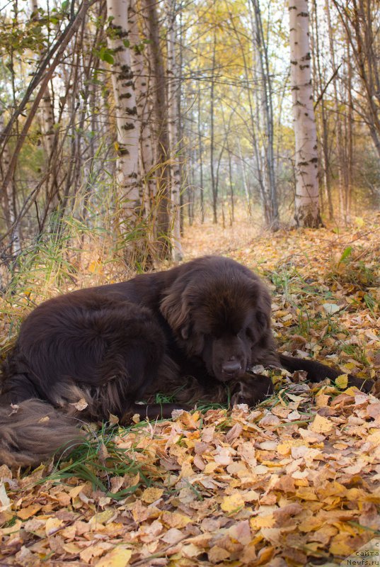 Фотография № 164684