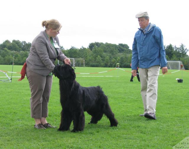 Фотография № 16470