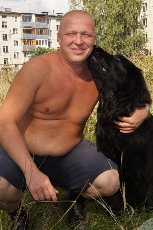 Фото: ньюфаундленд Valmond Pobeditel (Валмонд Победитель)