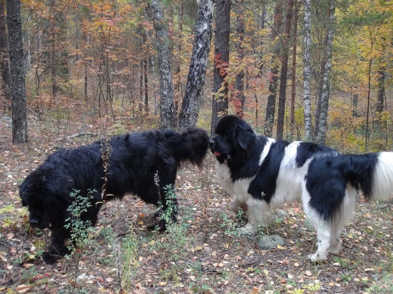 Фотография № 164720