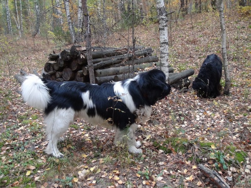 Фотография № 164722