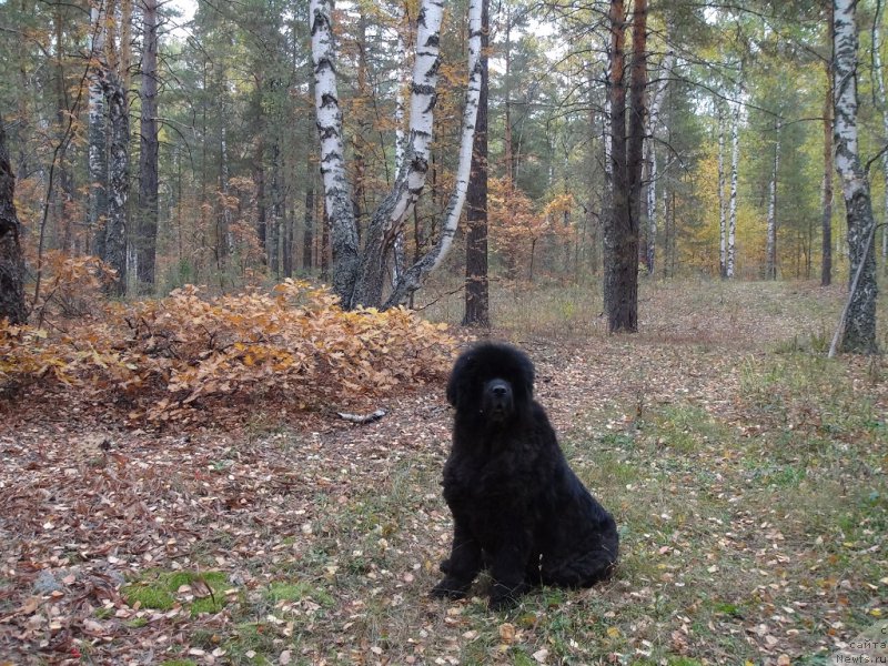 Фотография № 164724