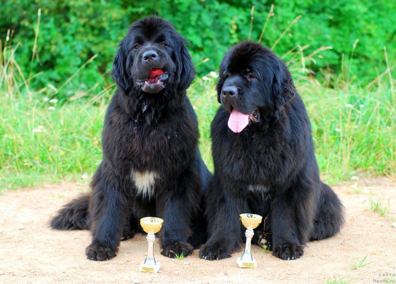 Фотография № 164727