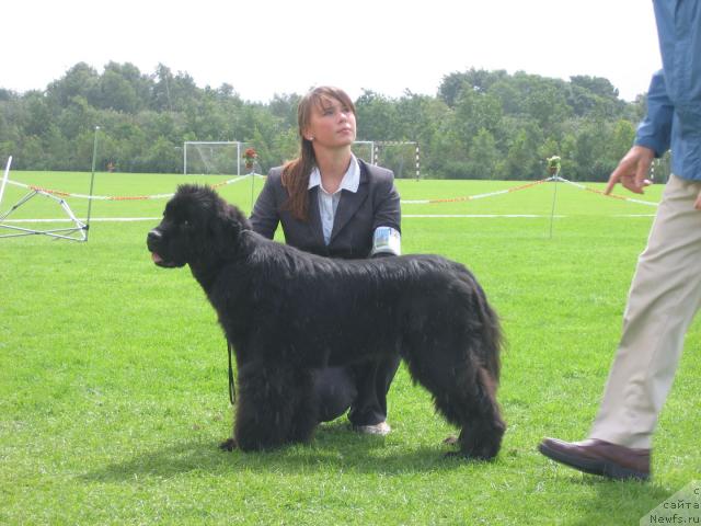 Фотография № 16473