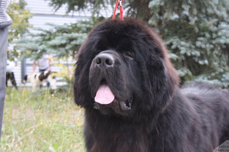 Фотография № 164740