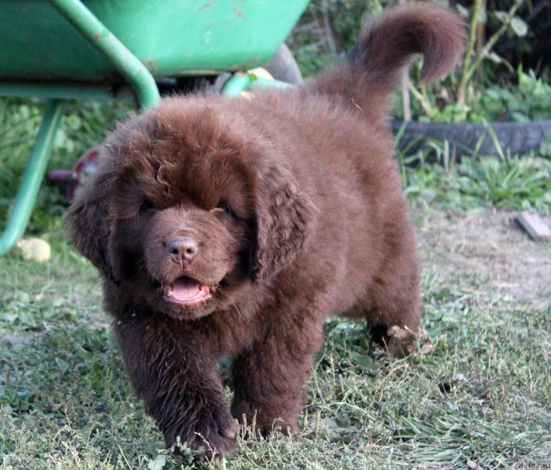 Фотография № 164743