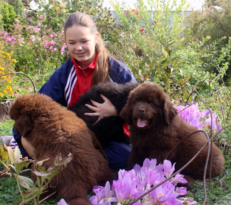 Фотография № 164745