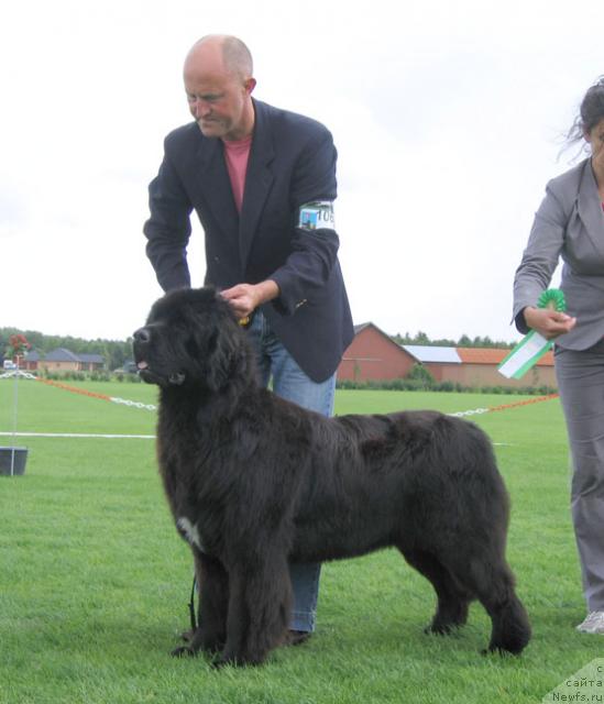 Фотография № 16475