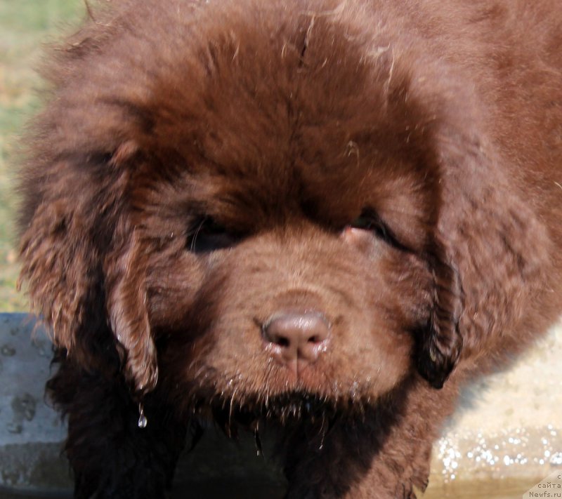 Фотография № 164758