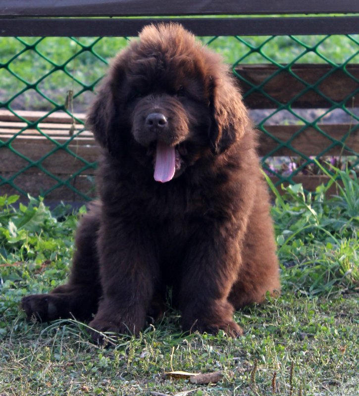 Фотография № 164759