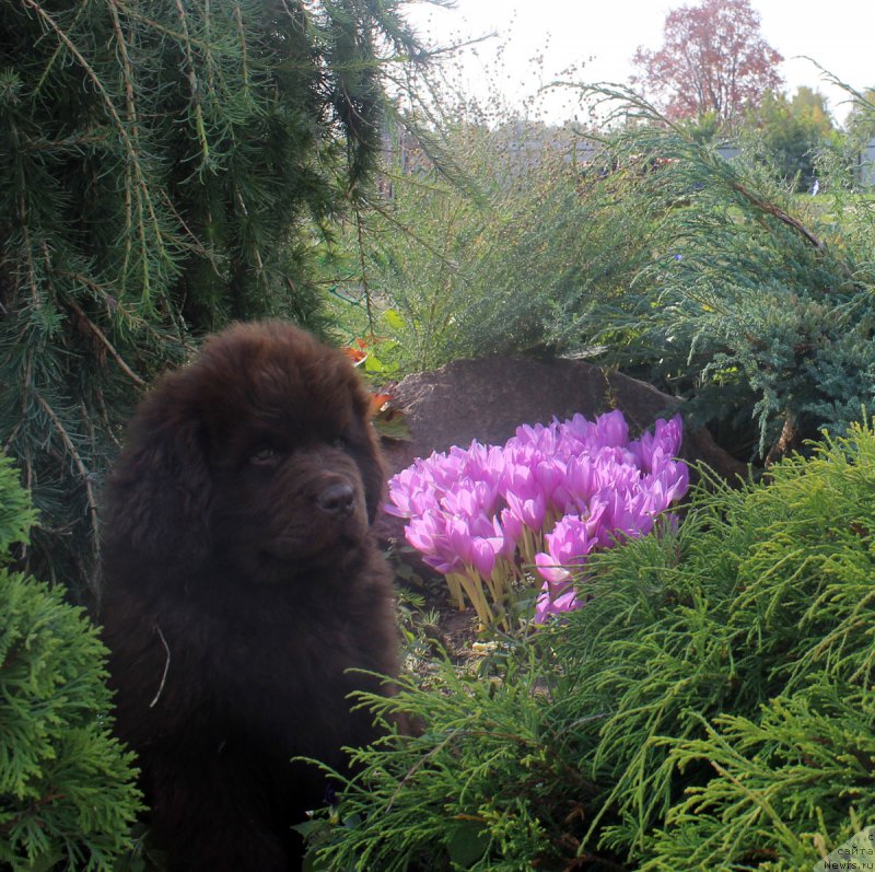 Фотография № 164761