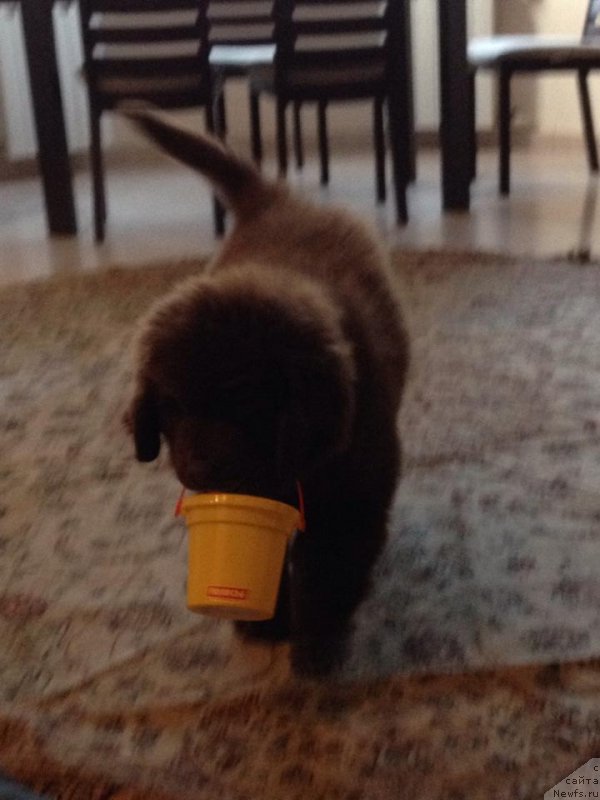 Фотография № 164788