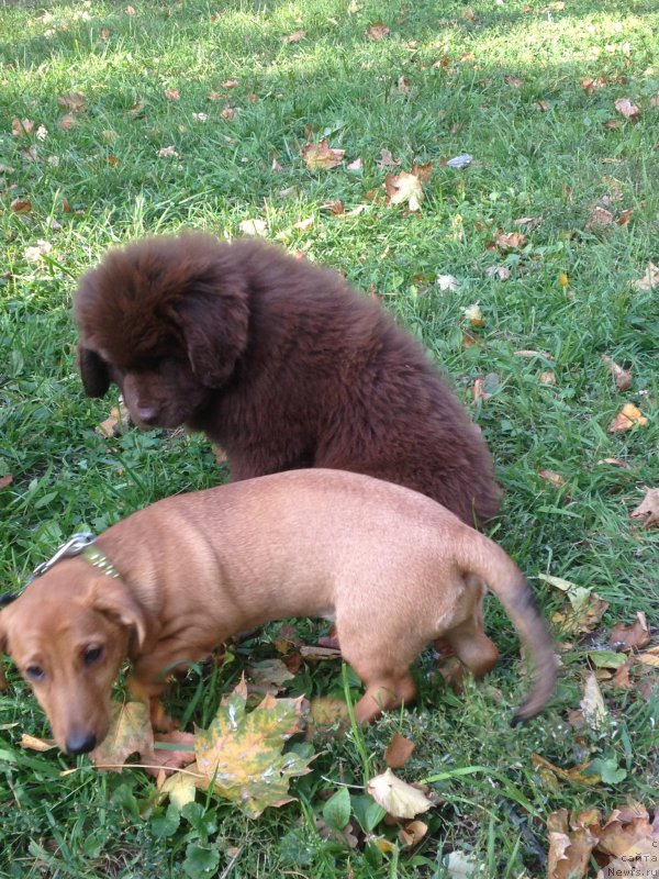 Фотография № 164790