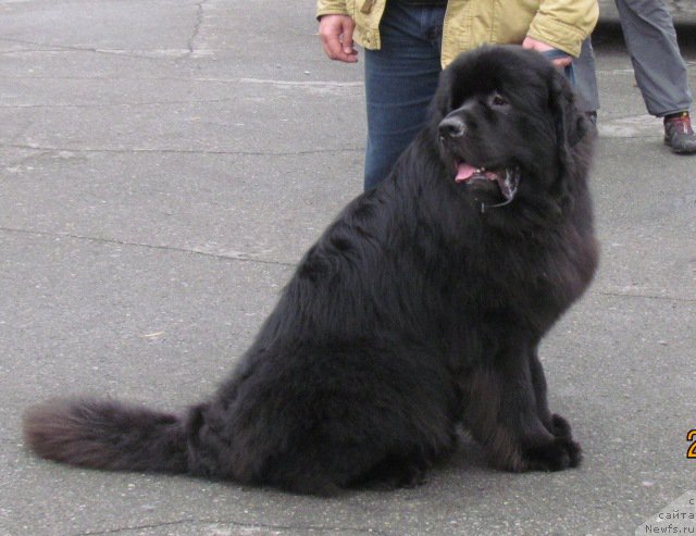 Фотография № 164803