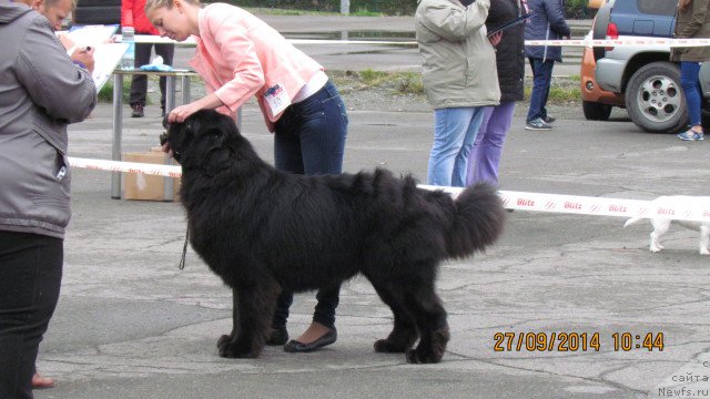 Фотография № 164804