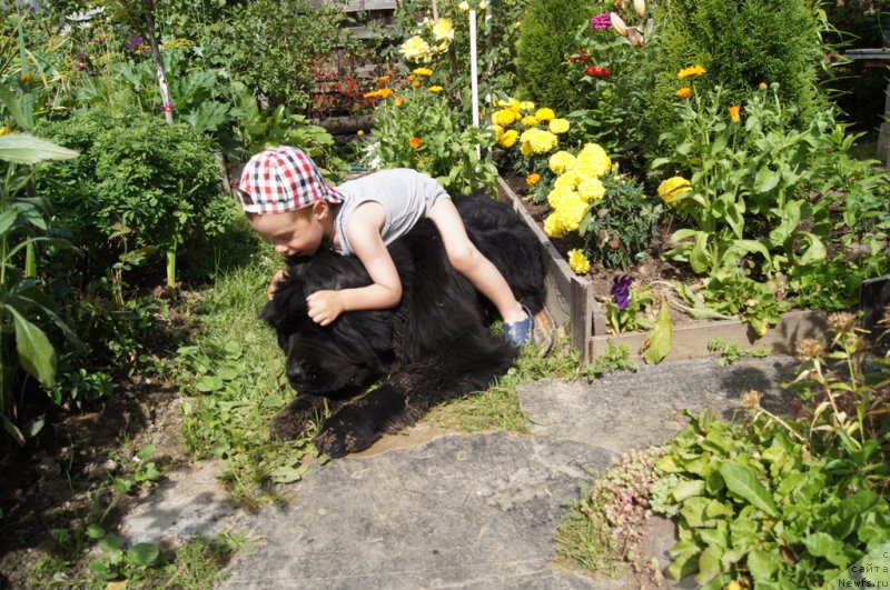 Фотография № 164812