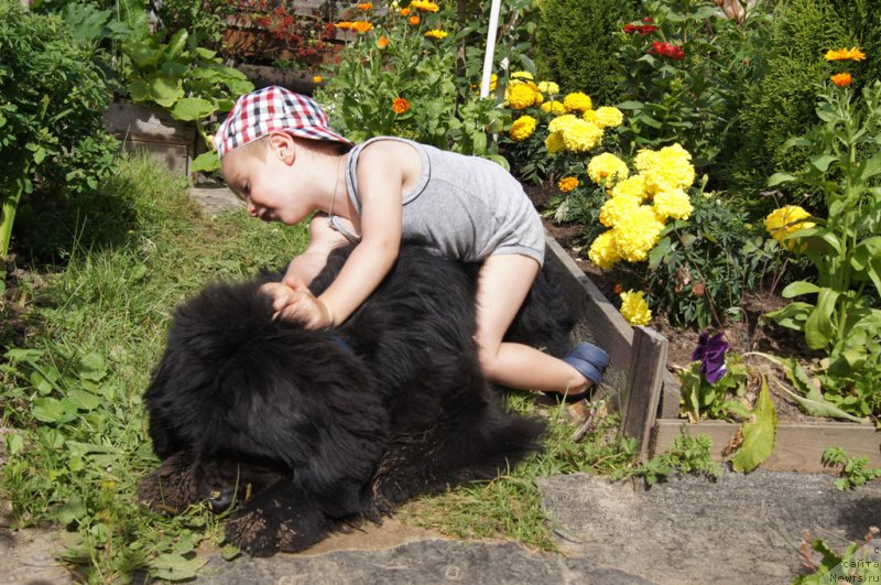 Фотография № 164813