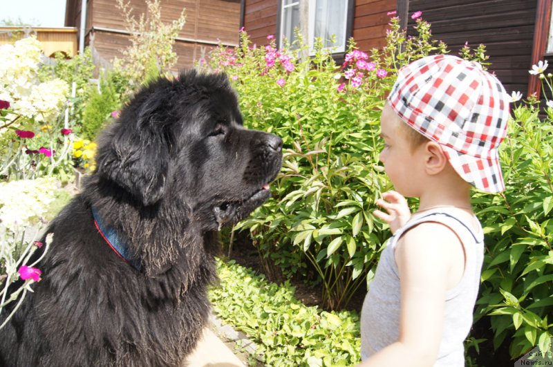 Фотография № 164815