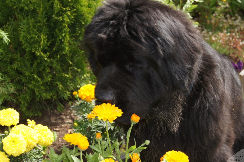 Фотография № 164820