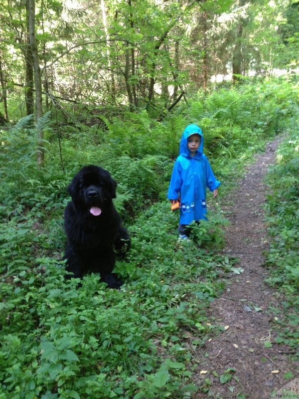 Фотография № 164822