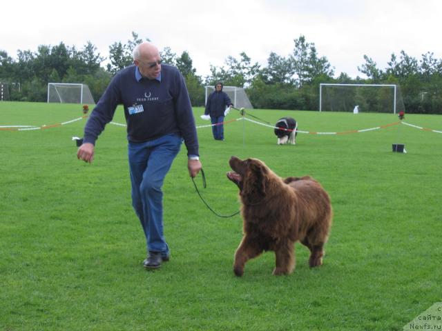 Фотография № 16484