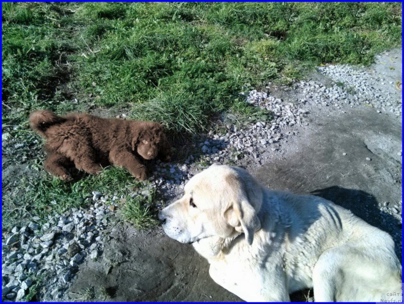 Фотография № 164844