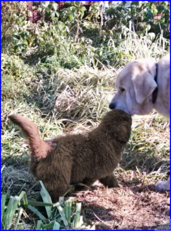 Фотография № 164847