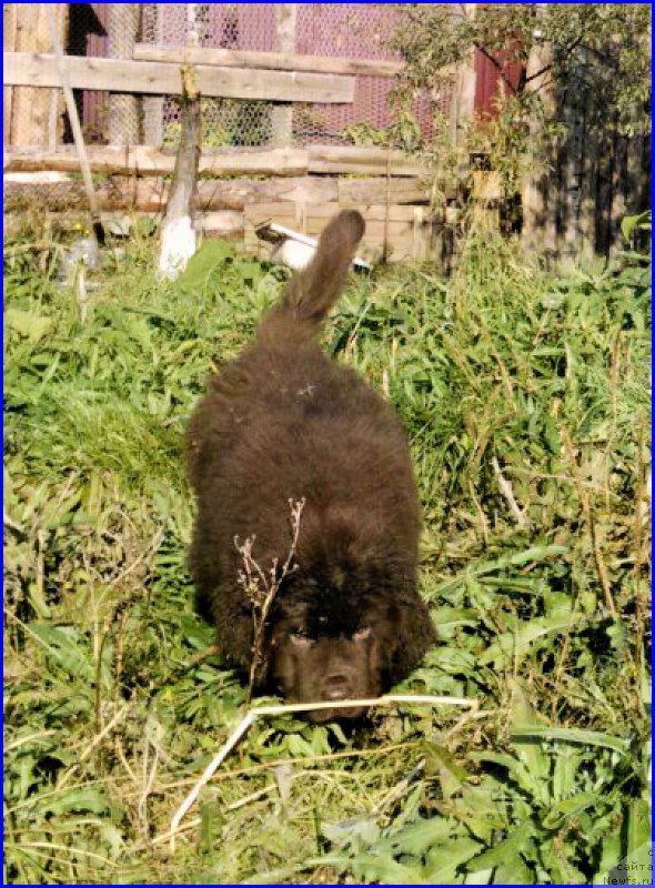 Фотография № 164854