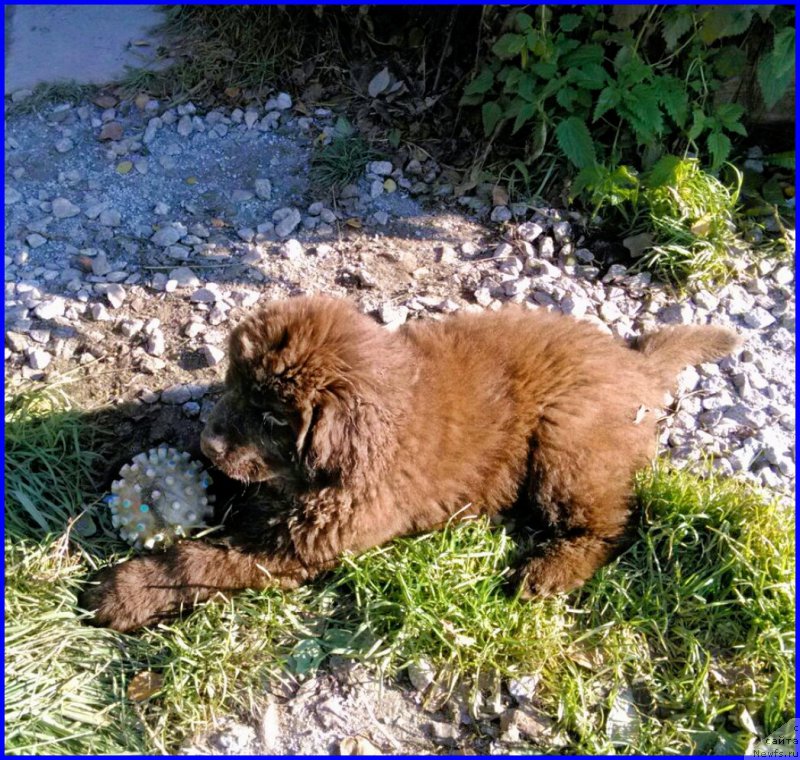 Фотография № 164870