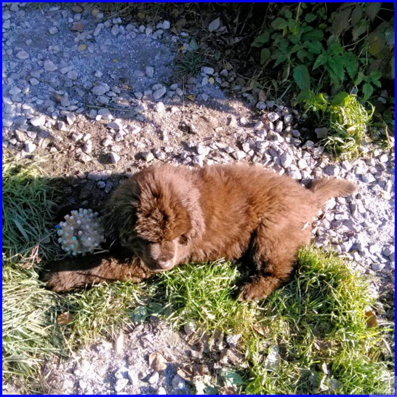 Фотография № 164872