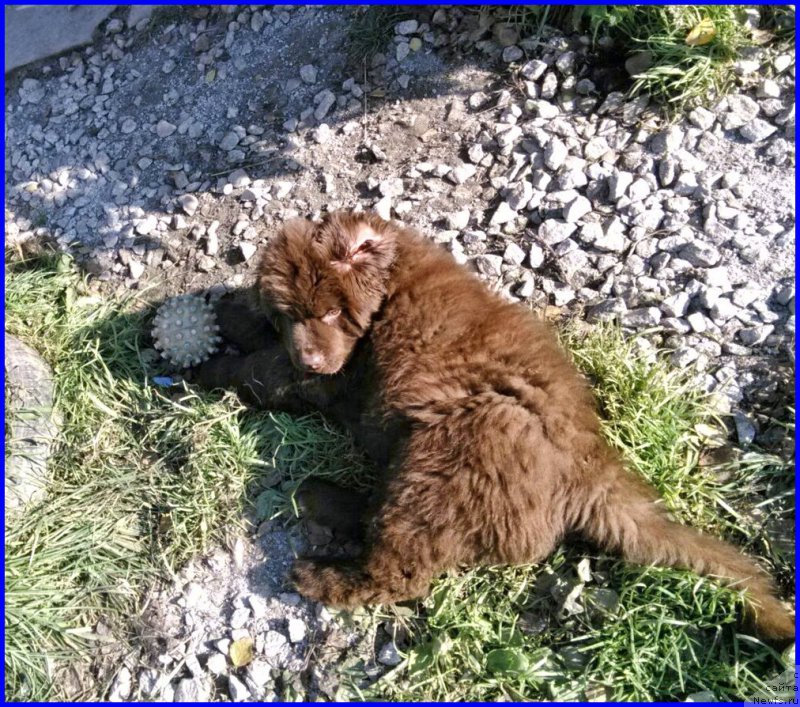 Фотография № 164874