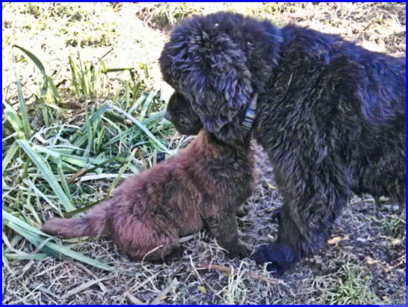 Фотография № 164886