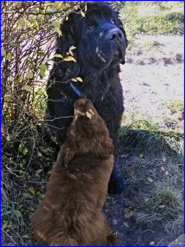 Фотография № 164888