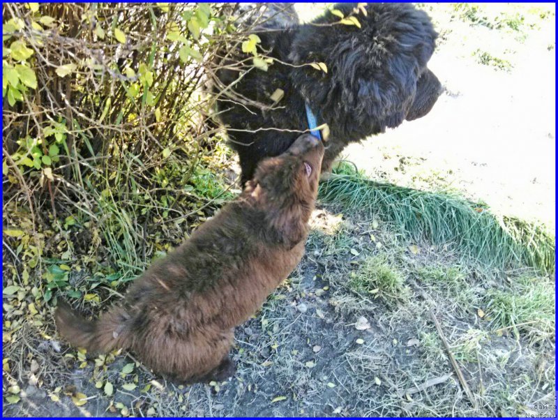 Фотография № 164890