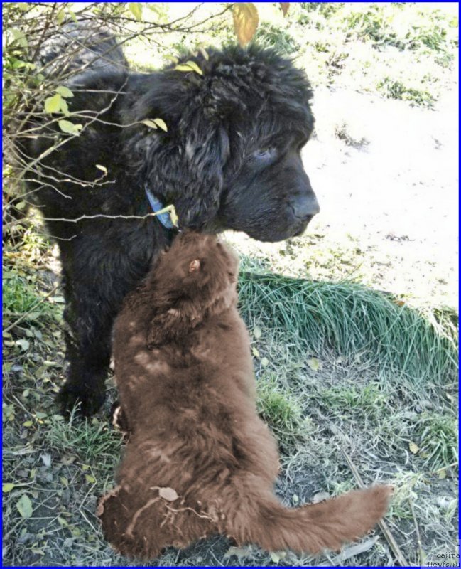 Фотография № 164892