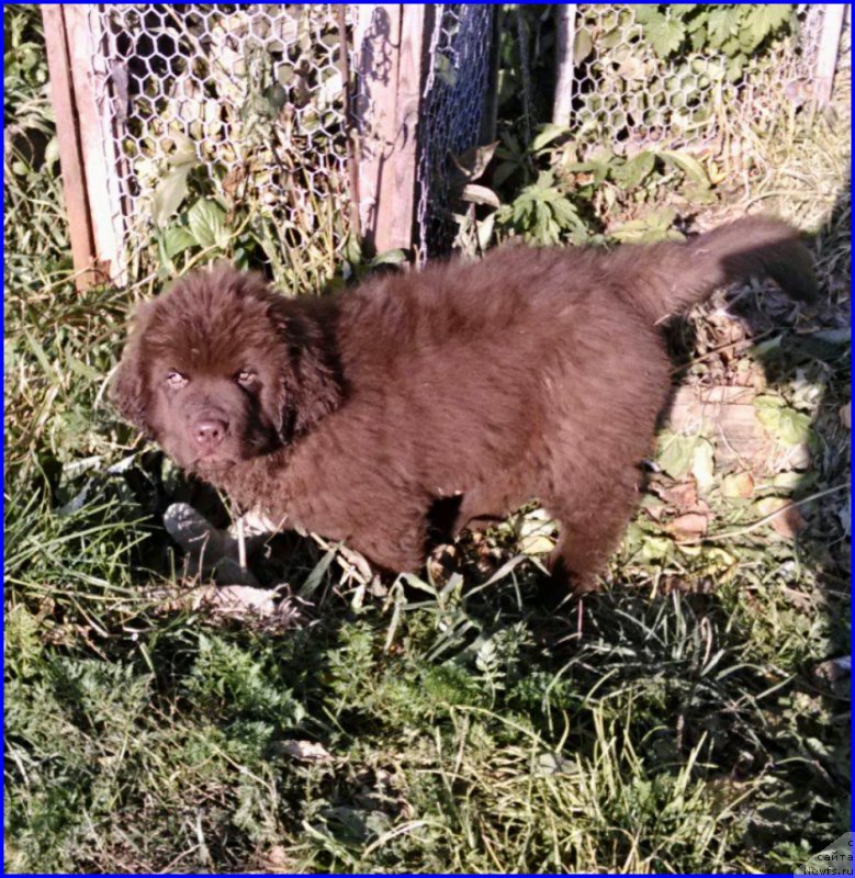 Фотография № 164901