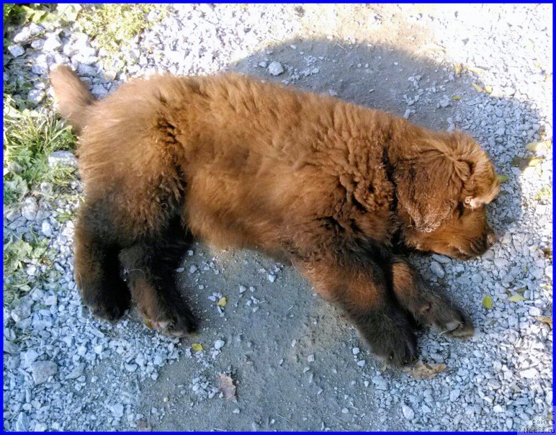 Фотография № 164911