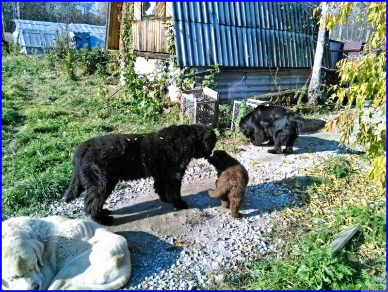 Фотография № 164914