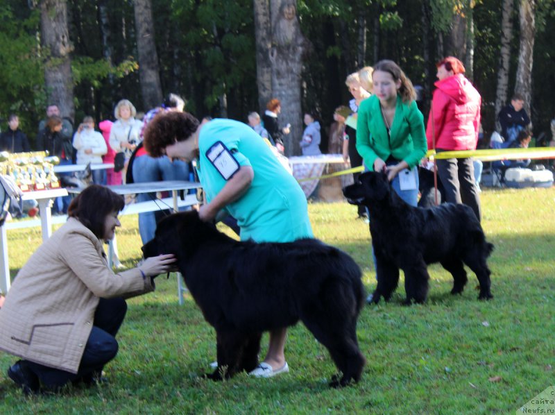 Фотография № 164964